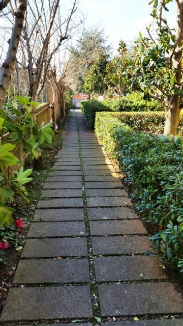casa indipendente in vendita a Rosignano Marittimo in zona Rosignano Solvay