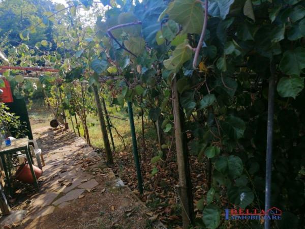 terreno agricolo in vendita a Rosignano Marittimo