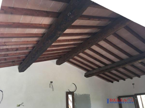 negozio in vendita a Rosignano Marittimo