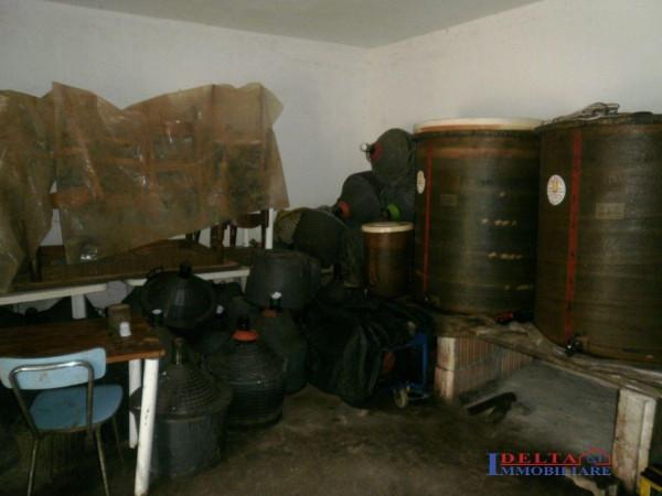 terreno agricolo a Rosignano Marittimo in zona Castelnuovo della Misericordia