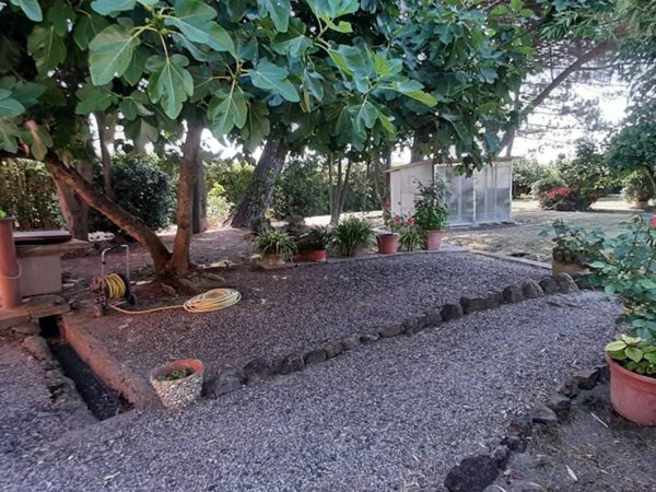 casa indipendente in vendita a Rosignano Marittimo in zona Gabbro