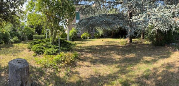 appartamento in vendita a Rosignano Marittimo