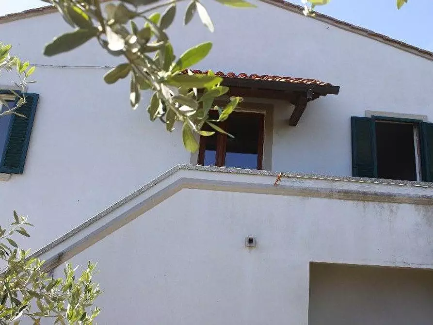 appartamento in vendita a Rosignano Marittimo