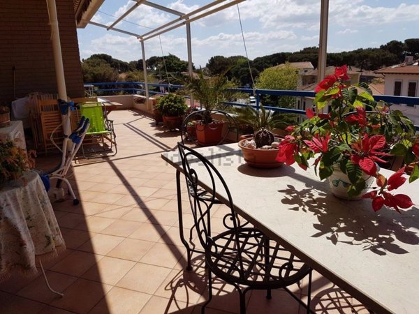 appartamento in vendita a Rosignano Marittimo in zona Castiglioncello