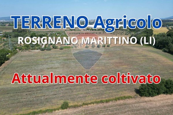 terreno agricolo in vendita a Rosignano Marittimo in zona Vada