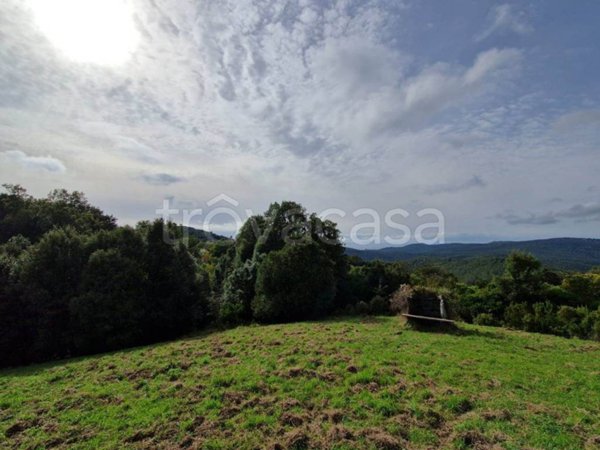 terreno agricolo in vendita a Rosignano Marittimo in zona Nibbiaia
