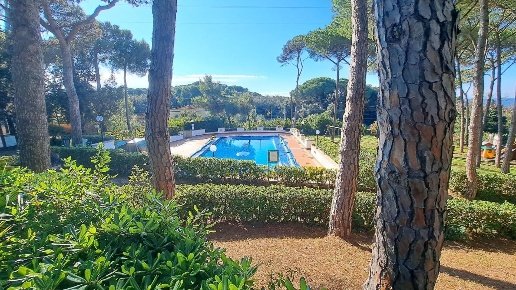 appartamento in vendita a Rosignano Marittimo in zona Castiglioncello