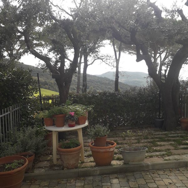 appartamento in vendita a Rosignano Marittimo in zona Nibbiaia