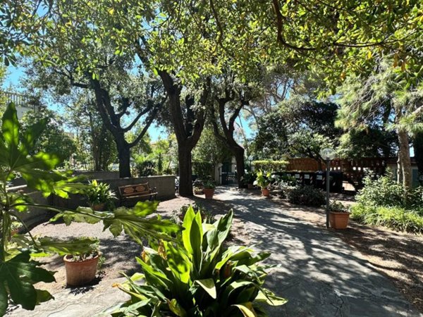 appartamento in vendita a Rosignano Marittimo in zona Castiglioncello