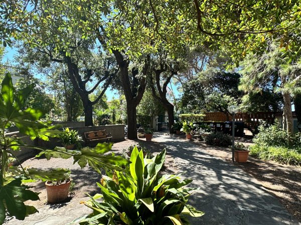 appartamento in vendita a Rosignano Marittimo in zona Castiglioncello