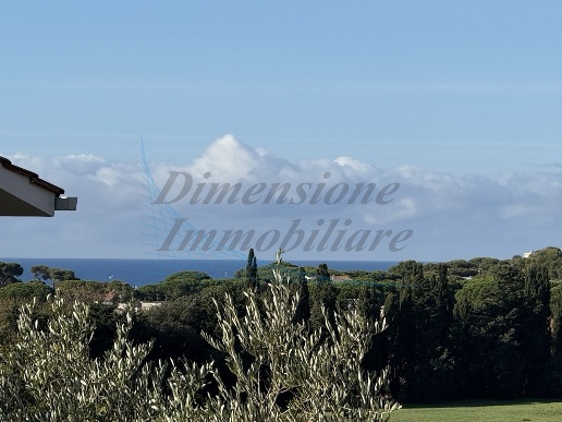 casa indipendente in vendita a Rosignano Marittimo in zona Castiglioncello