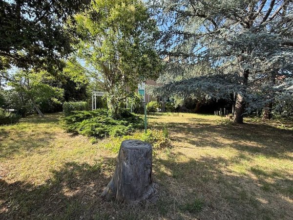 appartamento in vendita a Rosignano Marittimo