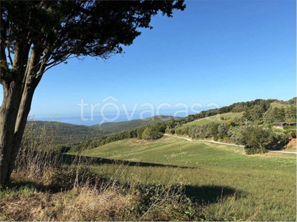 appartamento in vendita a Rosignano Marittimo in zona Nibbiaia