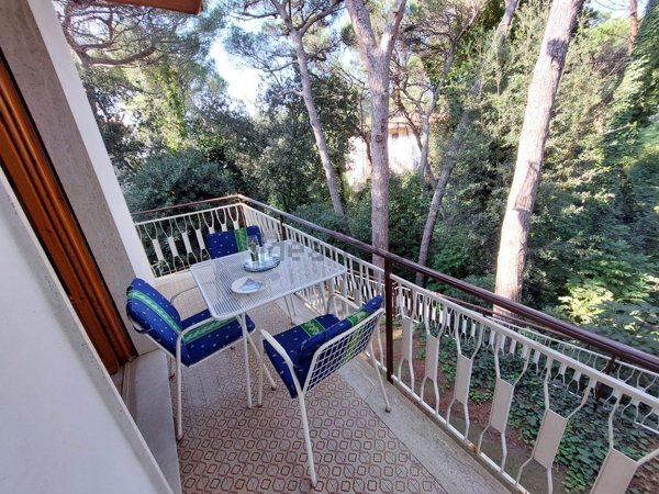 appartamento in vendita a Rosignano Marittimo