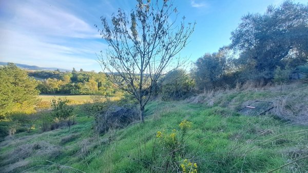 terreno agricolo a Rosignano Marittimo in zona Castelnuovo della Misericordia