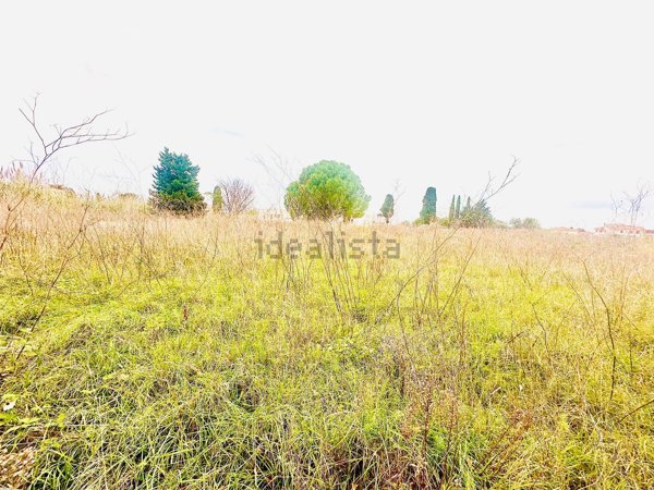 terreno edificabile in vendita a Rosignano Marittimo