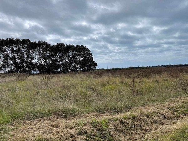 terreno agricolo in vendita a Rosignano Marittimo