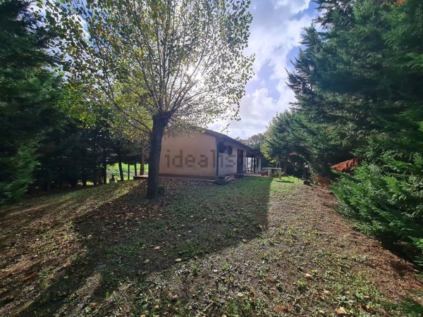 terreno agricolo in vendita a Rosignano Marittimo