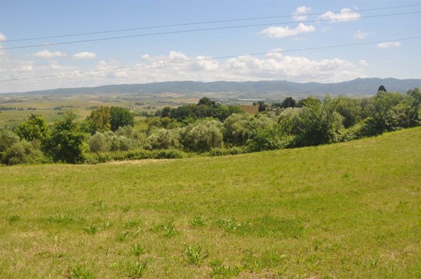 terreno agricolo in vendita a Rosignano Marittimo