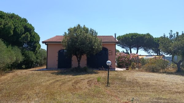 pentavano in vendita a Rosignano Marittimo in zona Gabbro