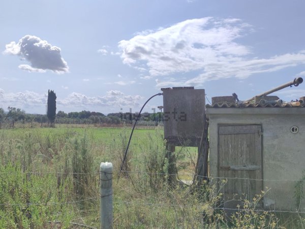 terreno agricolo in vendita a Rosignano Marittimo