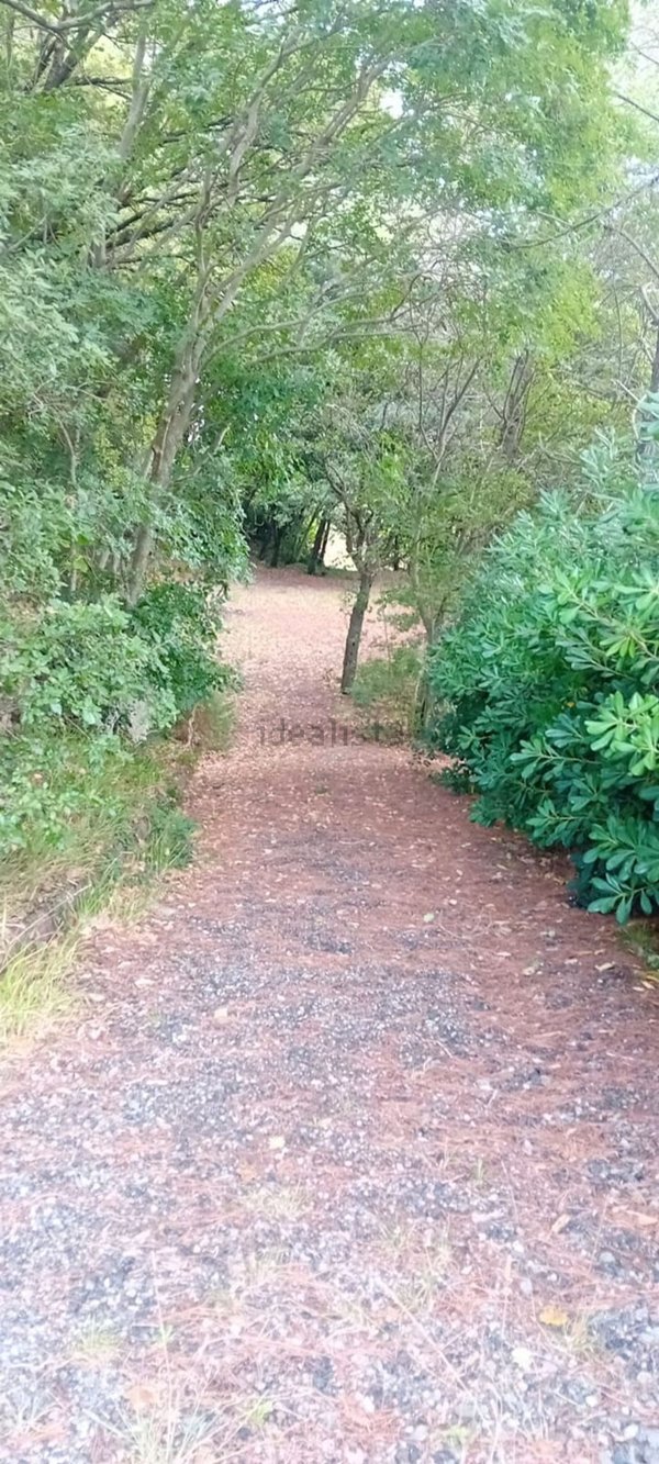 terreno agricolo in vendita a Rosignano Marittimo in zona Nibbiaia
