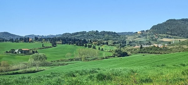 casale in vendita a Rosignano Marittimo in zona Castiglioncello