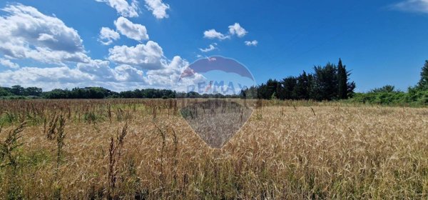 terreno agricolo in vendita a Rosignano Marittimo in zona Vada
