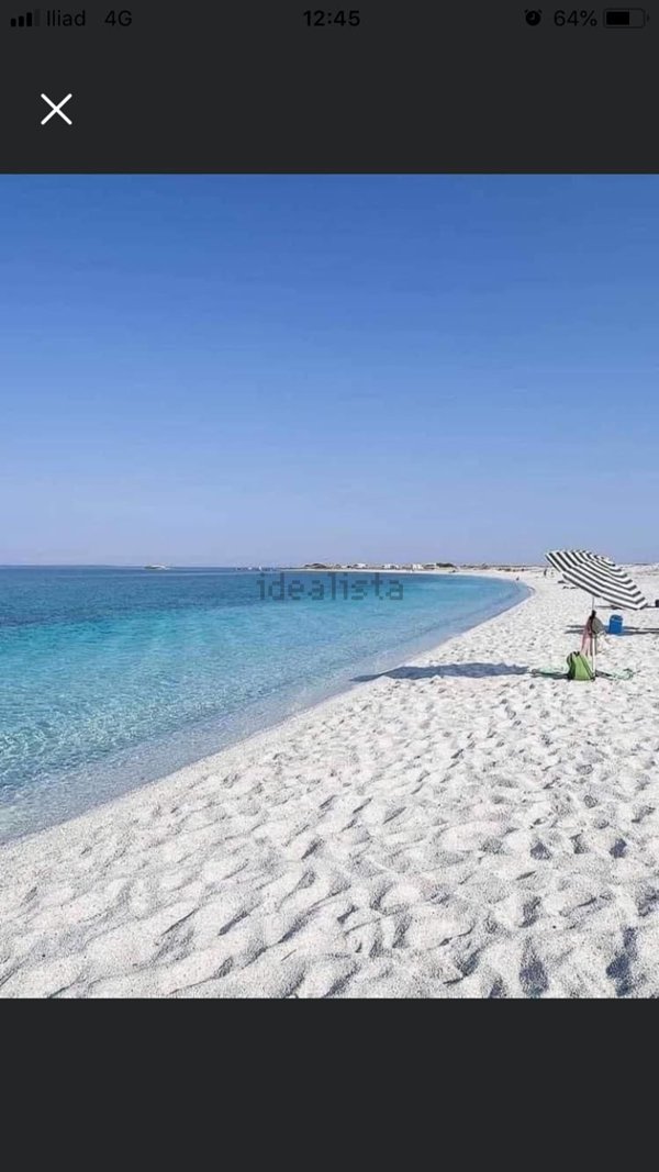 appartamento in vendita a Rosignano Marittimo