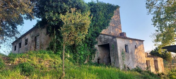 appartamento in vendita a Rosignano Marittimo