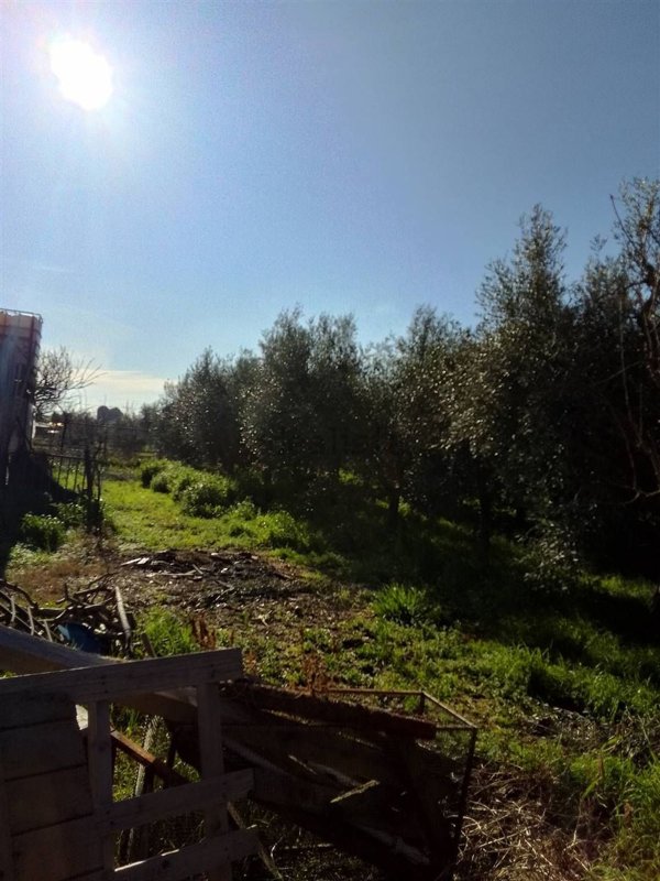 casa indipendente in vendita a Rosignano Marittimo