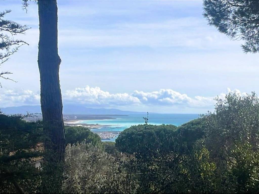 casa indipendente in vendita a Rosignano Marittimo in zona Castiglioncello