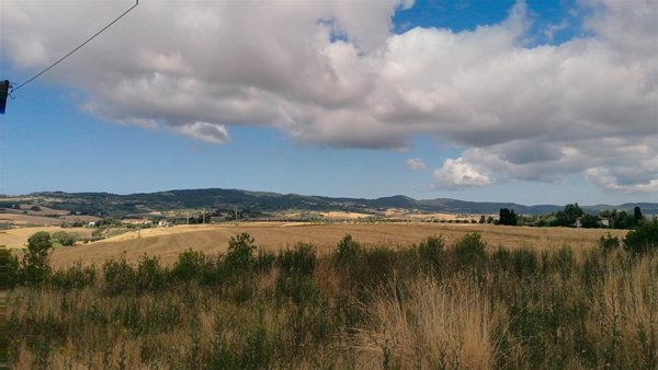casa indipendente in vendita a Rosignano Marittimo