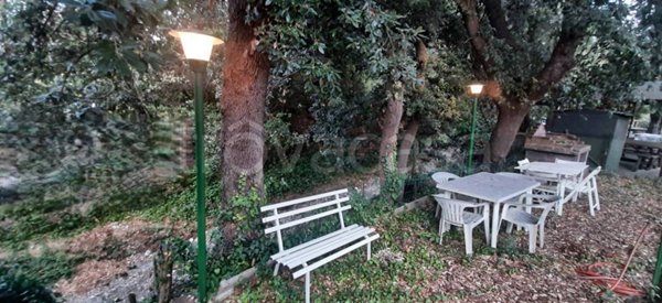 appartamento in vendita a Rosignano Marittimo in zona Castiglioncello