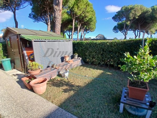 appartamento in vendita a Rosignano Marittimo in zona Vada