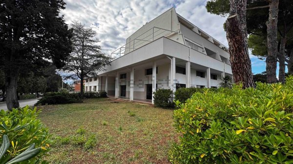 appartamento in vendita a Rosignano Marittimo in zona Castiglioncello