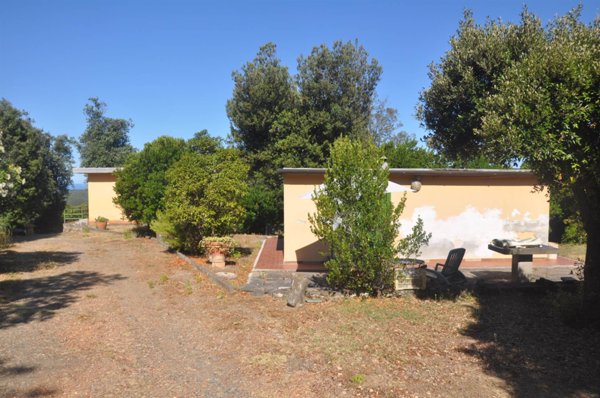 terreno agricolo in vendita a Rosignano Marittimo in zona Nibbiaia