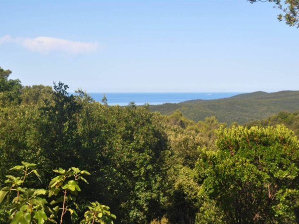 terreno agricolo in vendita a Rosignano Marittimo in zona Nibbiaia