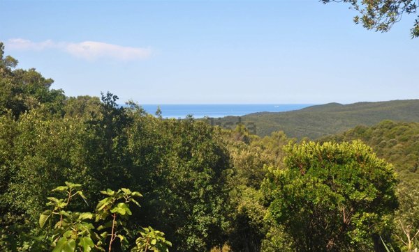 terreno agricolo in vendita a Rosignano Marittimo in zona Nibbiaia