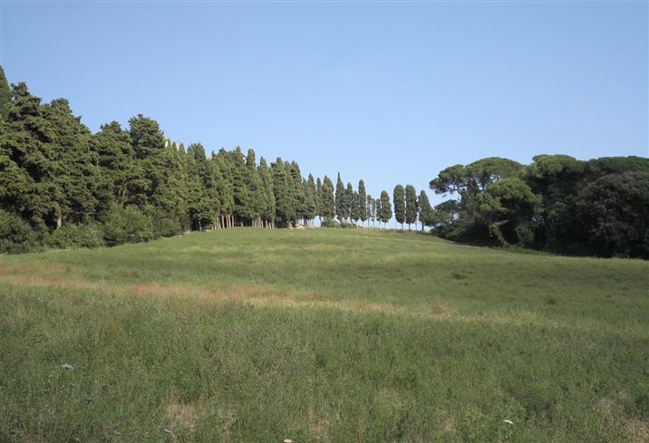 negozio in vendita a Rosignano Marittimo