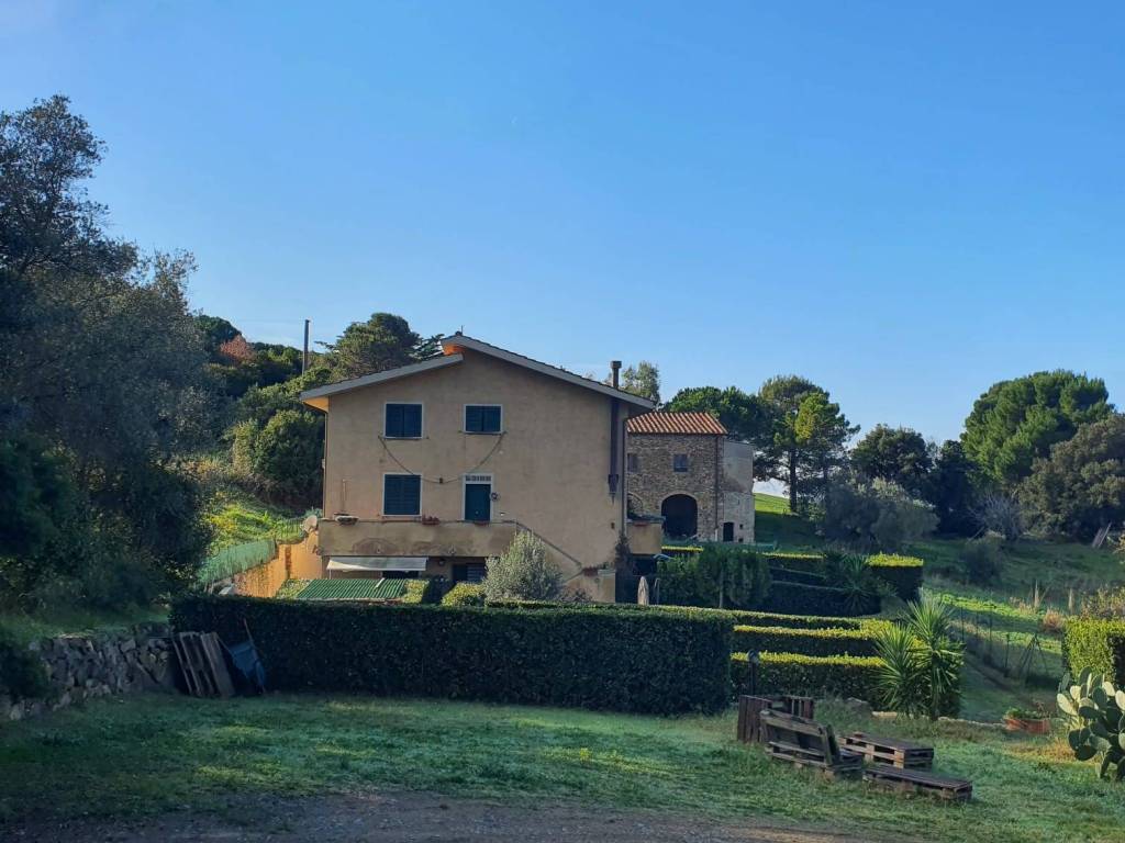 appartamento in vendita a Rosignano Marittimo in zona Nibbiaia