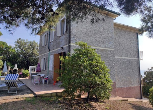 esavano in vendita a Rosignano Marittimo in zona Castiglioncello