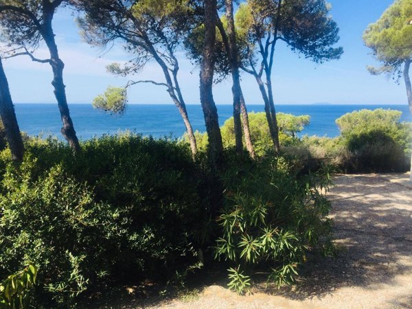 casa indipendente in vendita a Rosignano Marittimo in zona Castiglioncello