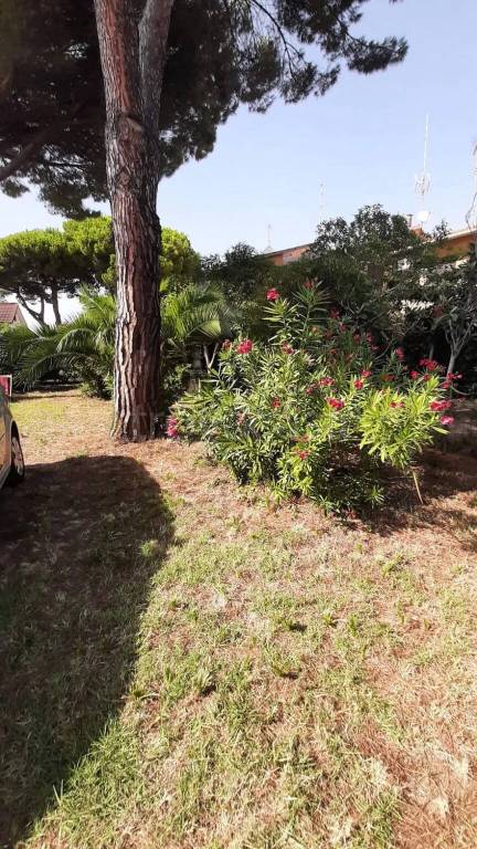 casa indipendente in vendita a Rosignano Marittimo in zona La Mazzanta