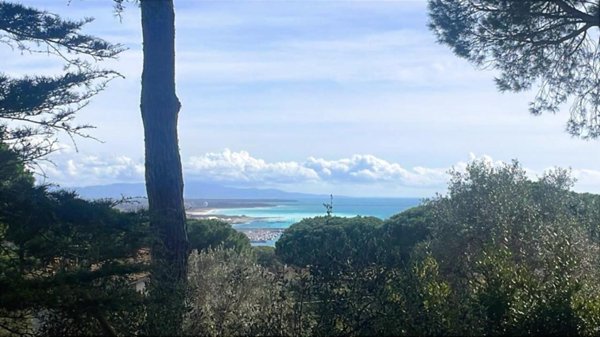 casa indipendente in vendita a Rosignano Marittimo in zona Castiglioncello