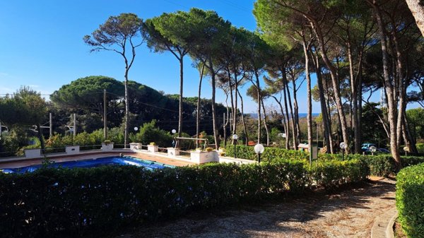 appartamento in vendita a Rosignano Marittimo in zona Castiglioncello
