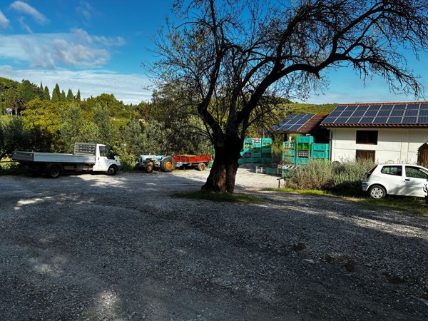 capannone in vendita a Rosignano Marittimo