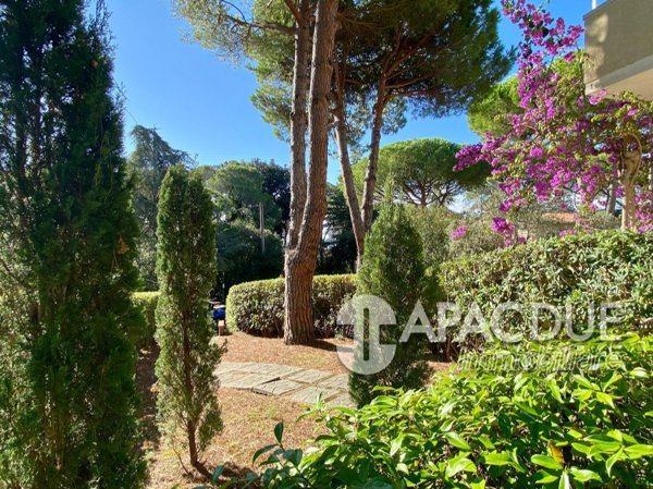 appartamento in vendita a Rosignano Marittimo