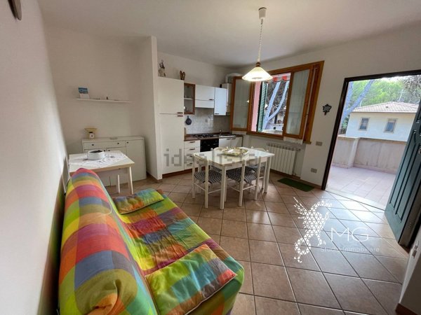 appartamento in vendita a Rosignano Marittimo in zona Castiglioncello