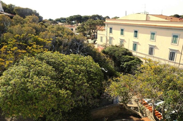 appartamento in vendita a Rosignano Marittimo